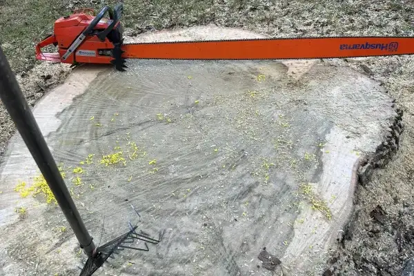 Tree Stump Removal