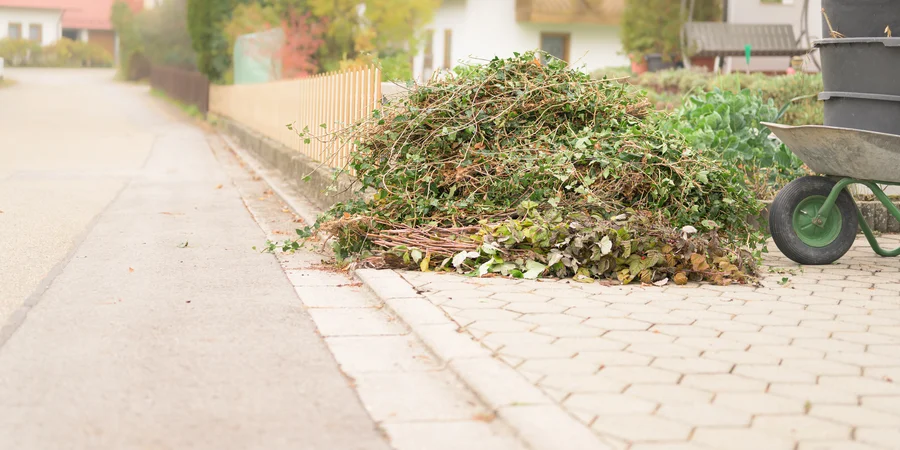 Affordable Brush Removal Montville, CT