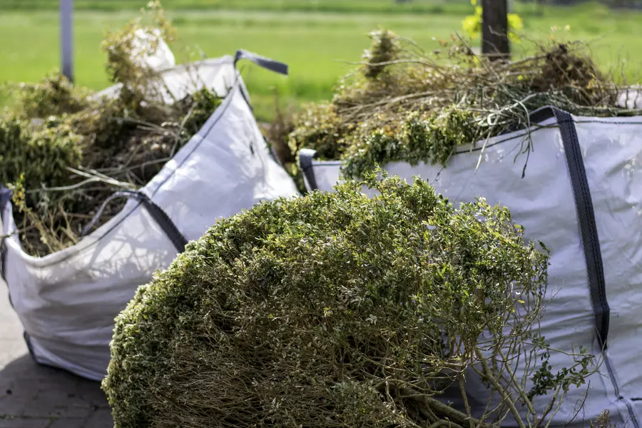 Brush Removal Tips To Improve Your Landscape Appearance Montville, CT