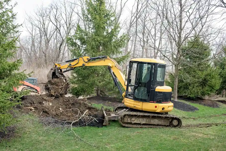 Experienced Tree Stump Removal Montville, CT