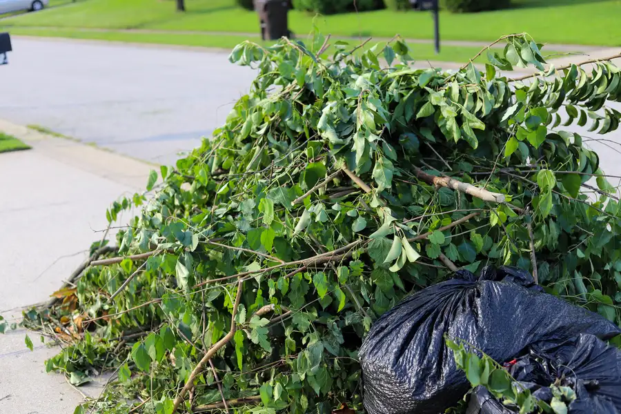 Expert Brush Removal Montville, CT