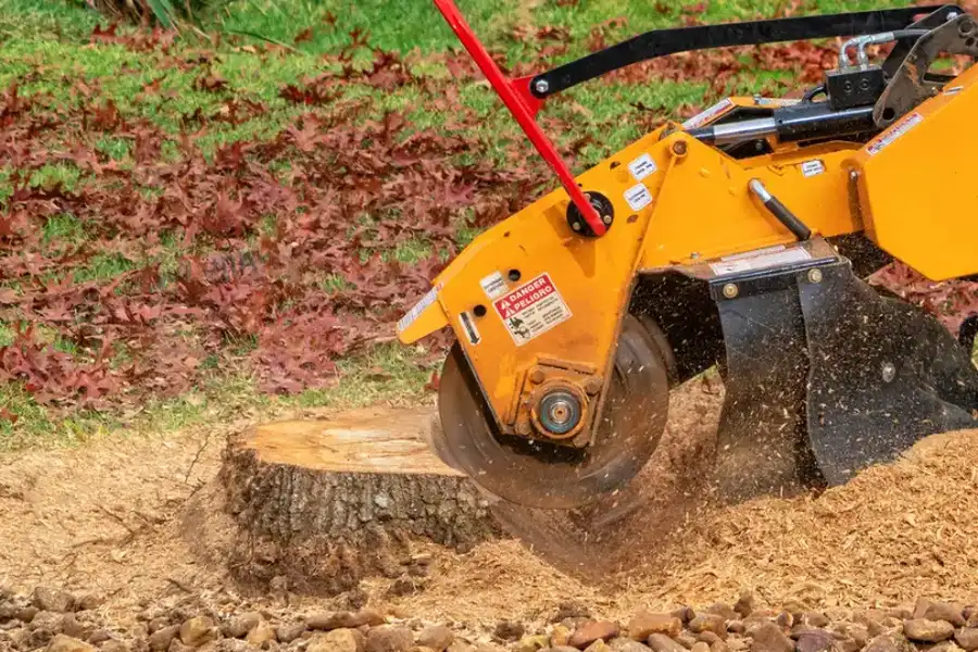 Local Stump Grinding Montville, CT
