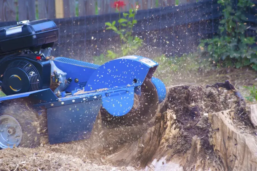 Professional Stump Grinding Montville, CT