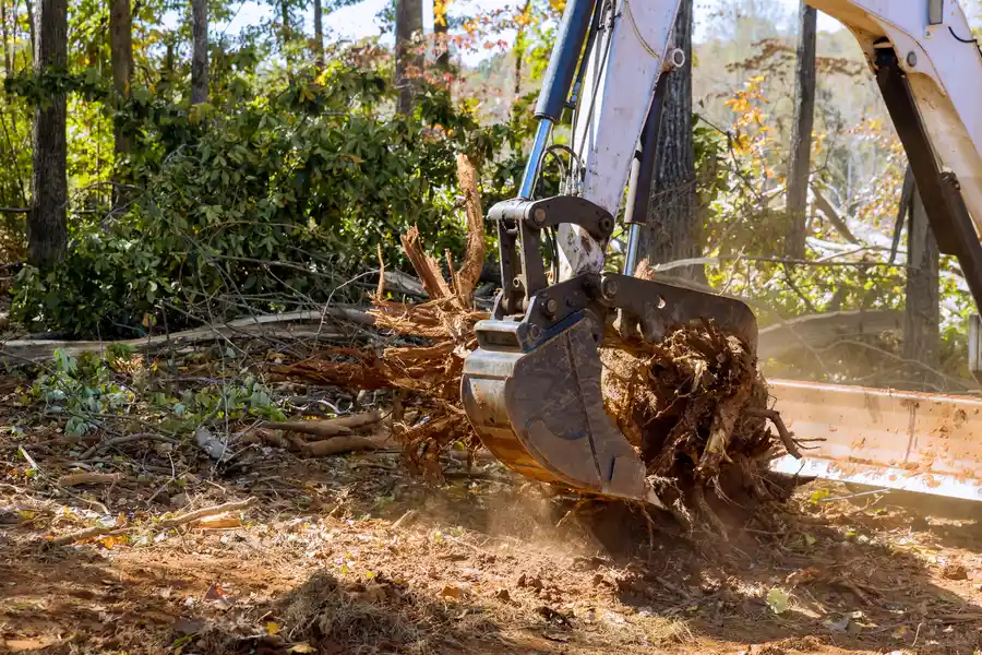 Reputable Tree Stump Removal Montville, CT